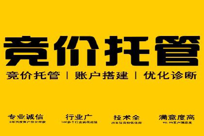 解析SEM竞价代运营的成功要素及案例